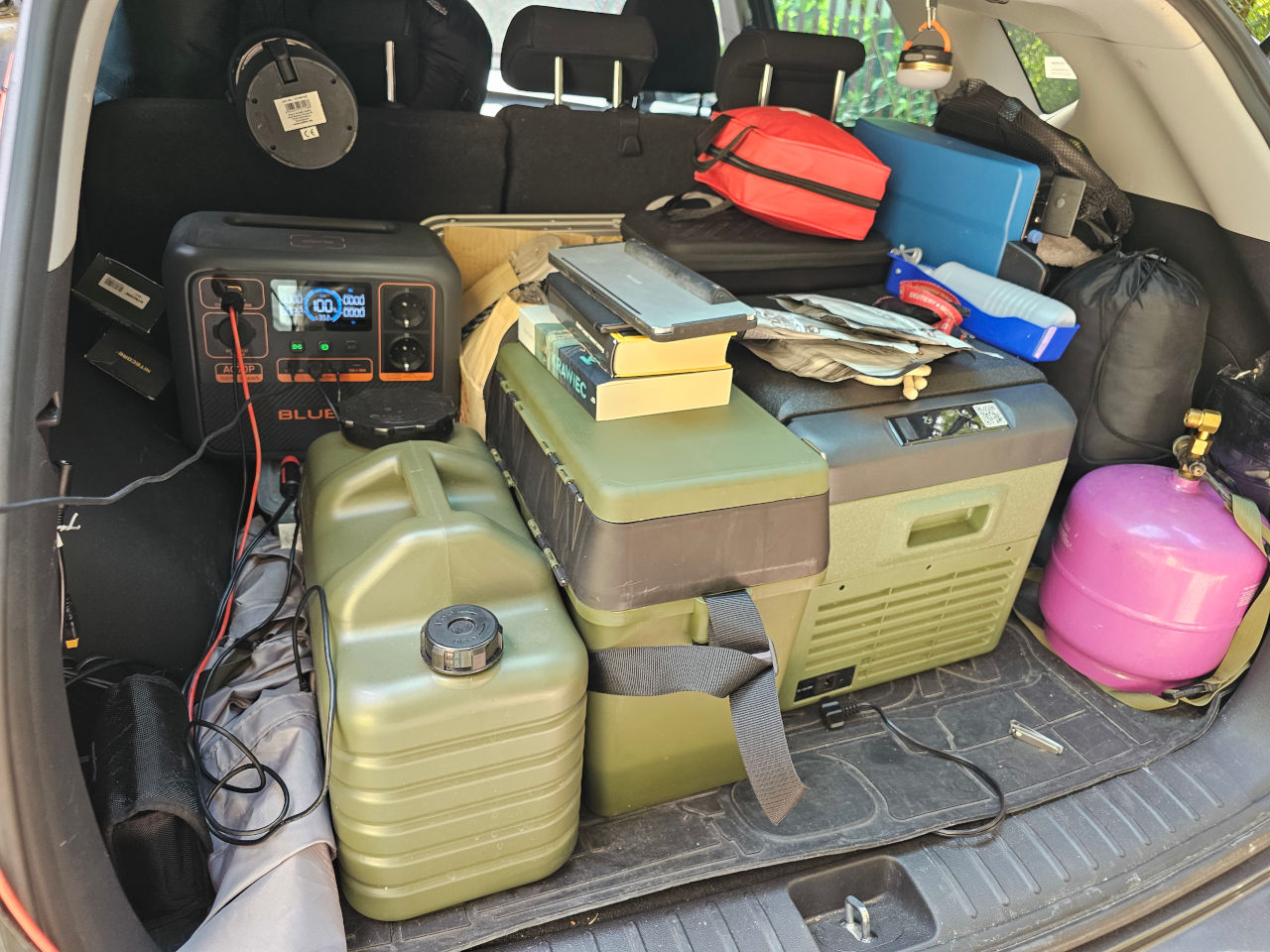 View of a fully packed SUV trunk, with a dog looking through the cargo barrier.