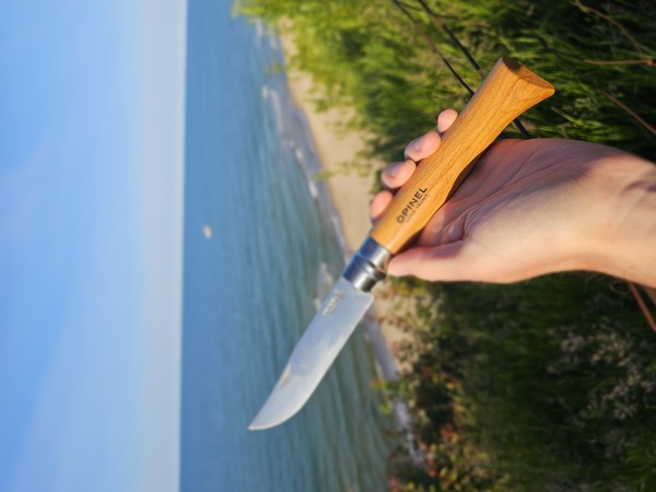 The Opinel knife resting on a piece of wood.