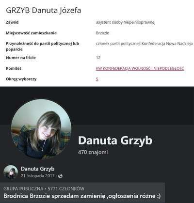 Danuta Grzyb Conspiracy Theories in Poland