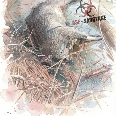 #2551 ASF in Poland: Sabotage or Conspiracy Theory?