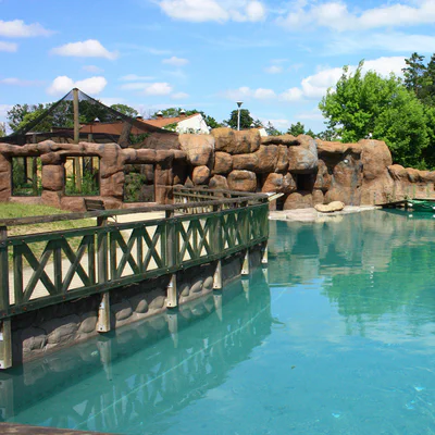 OPOLE ZOO: Dekada rozkładu w miejskiej spółce. Kto tak naprawdę rządzi publicznym majątkiem?